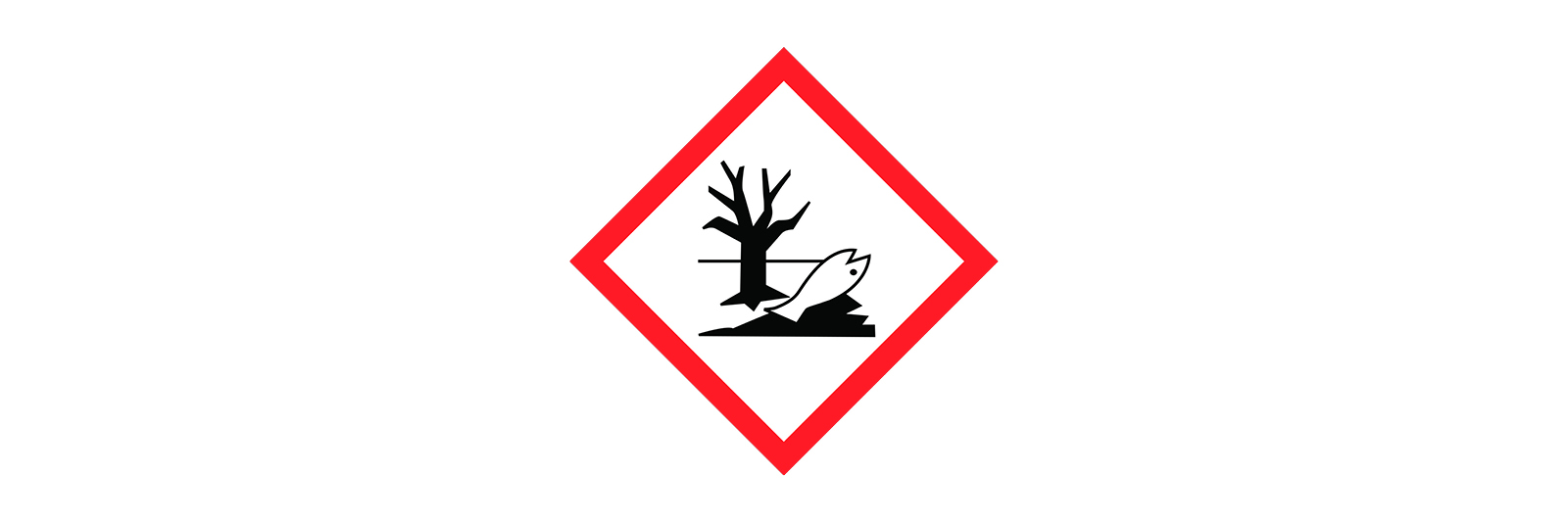 CLP2