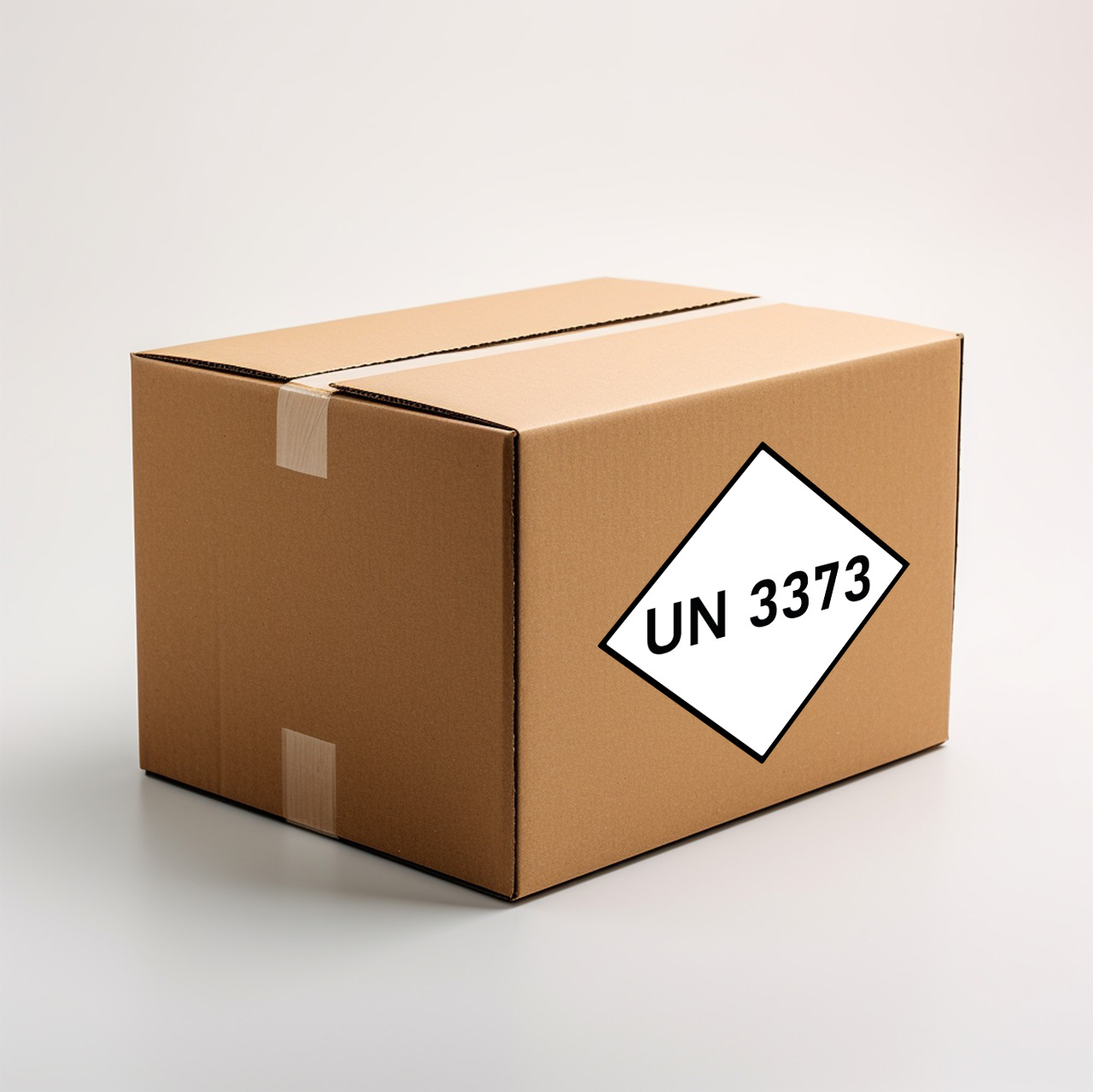 ADR SONDERVORSCHRIFTEN 219 & 319 UN3245 & UN3373